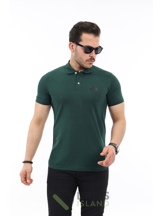 Футболка The North Face поло (2406-4)